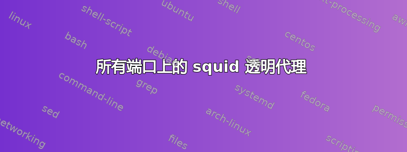 所有端口上的 squid 透明代理