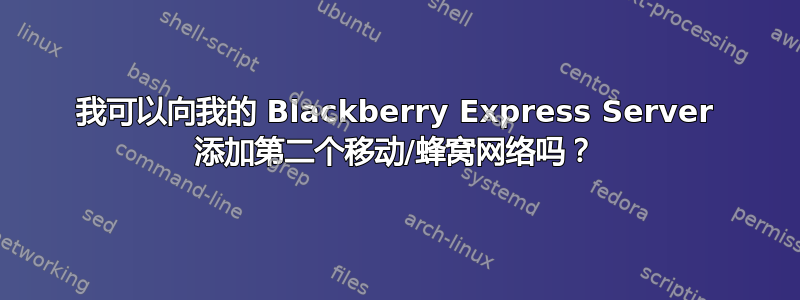 我可以向我的 Blackberry Express Server 添加第二个移动/蜂窝网络吗？