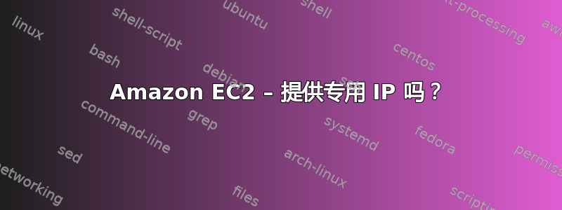 Amazon EC2 – 提供专用 IP 吗？