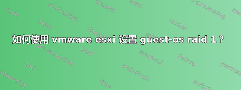 如何使用 vmware esxi 设置 guest-os raid 1？