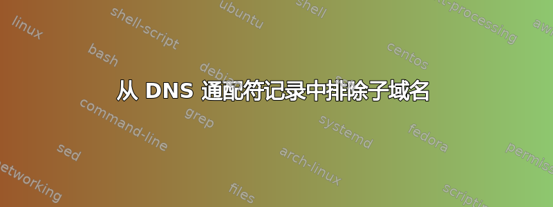 从 DNS 通配符记录中排除子域名