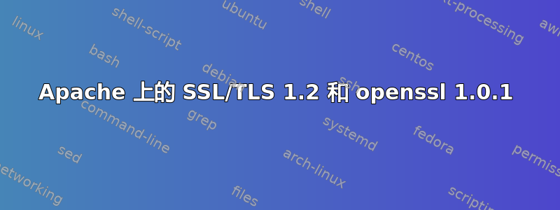 Apache 上的 SSL/TLS 1.2 和 openssl 1.0.1