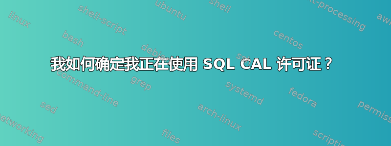 我如何确定我正在使用 SQL CAL 许可证？