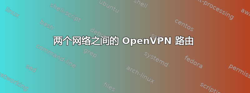 两个网络之间的 OpenVPN 路由