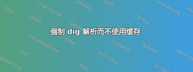 强制 dig 解析而不使用缓存