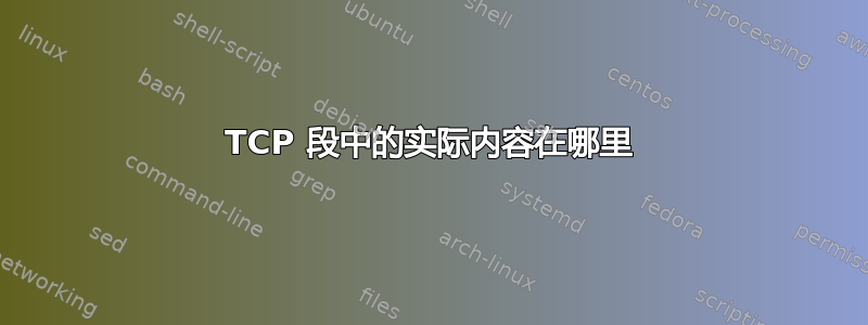 TCP 段中的实际内容在哪里