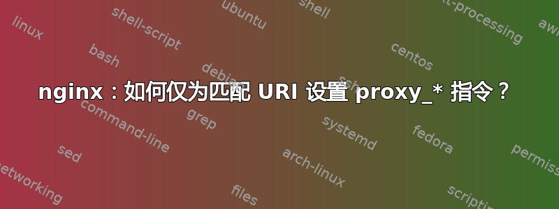 nginx：如何仅为匹配 URI 设置 proxy_* 指令？