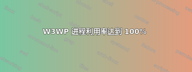 W3WP 进程利用率达到 100%