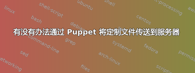 有没有办法通过 Puppet 将定制文件传送到服务器