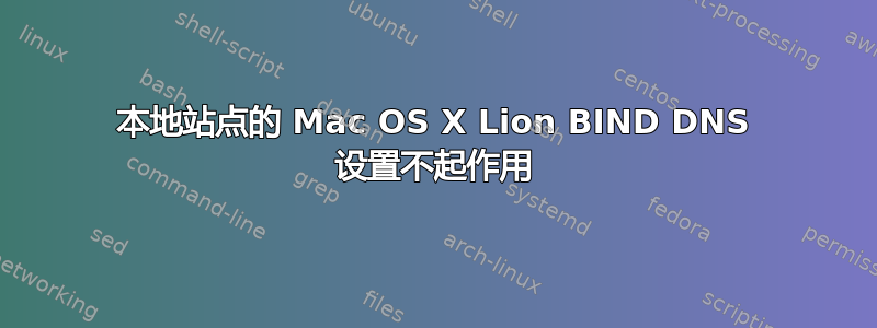 本地站点的 Mac OS X Lion BIND DNS 设置不起作用