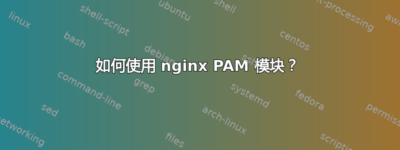 如何使用 nginx PAM 模块？