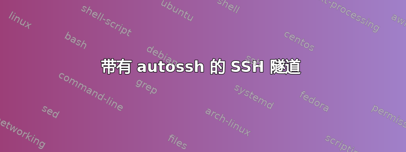 带有 autossh 的 SSH 隧道