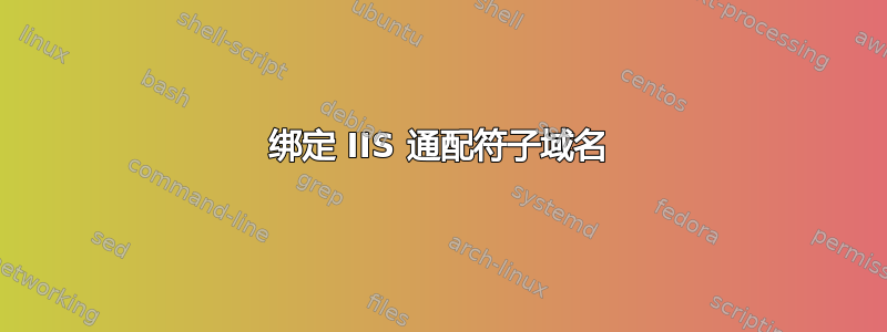 绑定 IIS 通配符子域名