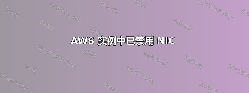 AWS 实例中已禁用 NIC