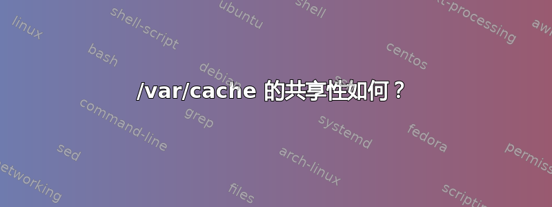 /var/cache 的共享性如何？