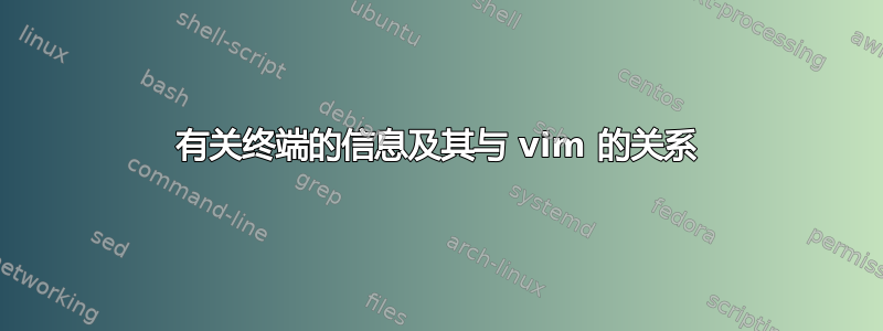 有关终端的信息及其与 vim 的关系