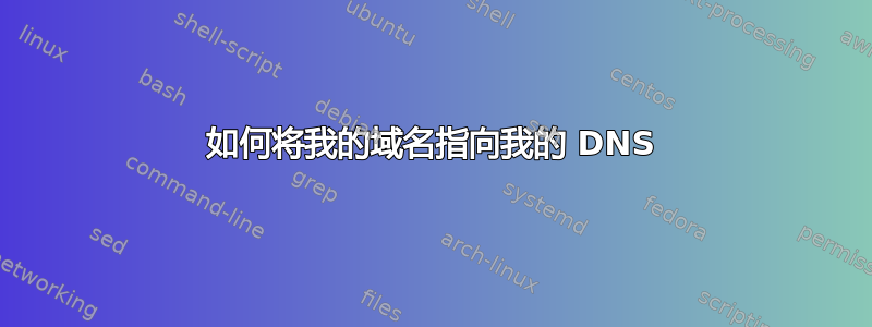 如何将我的域名指向我的 DNS