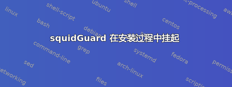 squidGuard 在安装过程中挂起