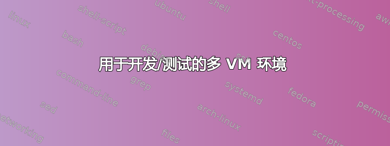 用于开发/测试的多 VM 环境