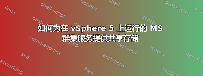 如何为在 vSphere 5 上运行的 MS 群集服务提供共享存储