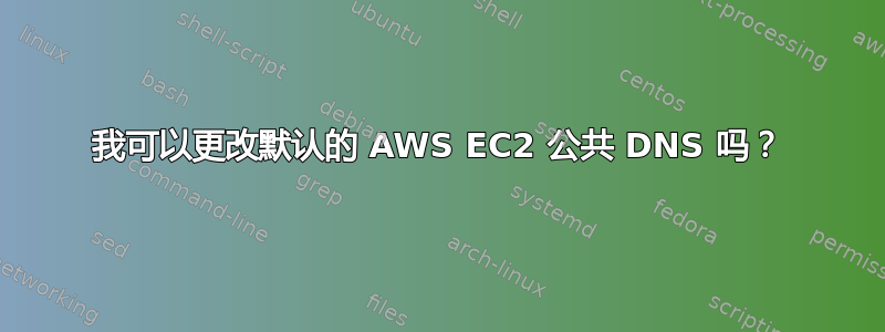 我可以更改默认的 AWS EC2 公共 DNS 吗？