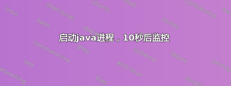 启动java进程，10秒后监控