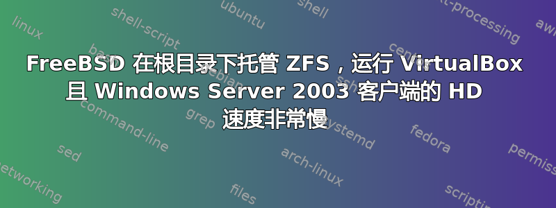 FreeBSD 在根目录下托管 ZFS，运行 VirtualBox 且 Windows Server 2003 客户端的 HD 速度非常慢