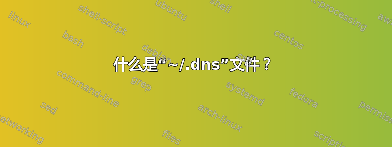 什么是“~/.dns”文件？