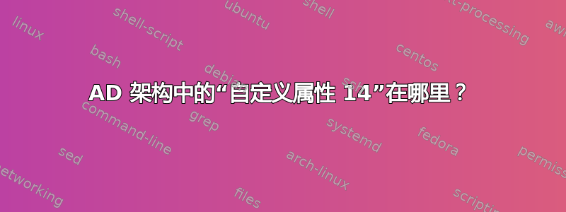 AD 架构中的“自定义属性 14”在哪里？