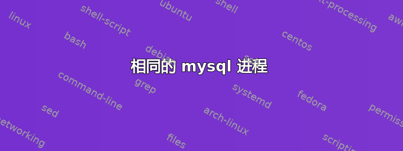 相同的 mysql 进程