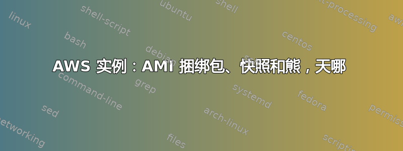 AWS 实例：AMI 捆绑包、快照和熊，天哪