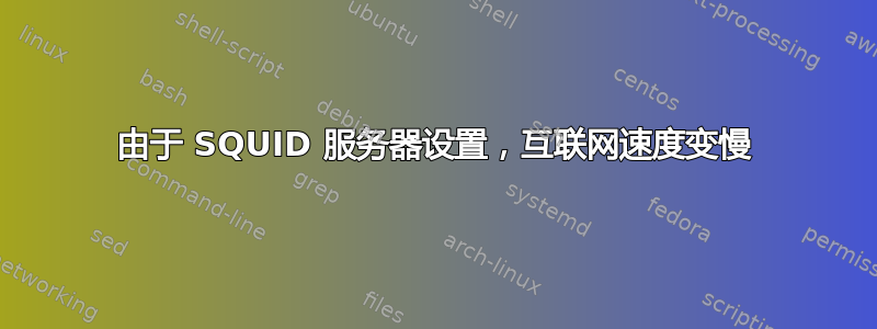 由于 SQUID 服务器设置，互联网速度变慢