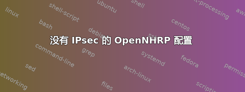 没有 IPsec 的 OpenNHRP 配置