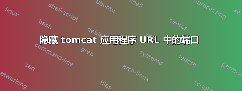 隐藏 tomcat 应用程序 URL 中的端口