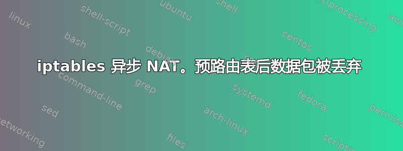 iptables 异步 NAT。预路由表后数据包被丢弃