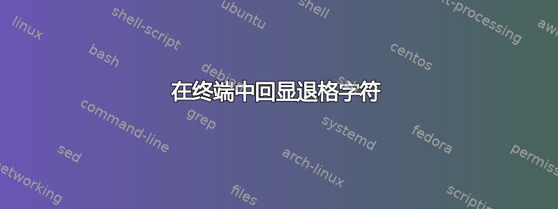 在终端中回显退格字符