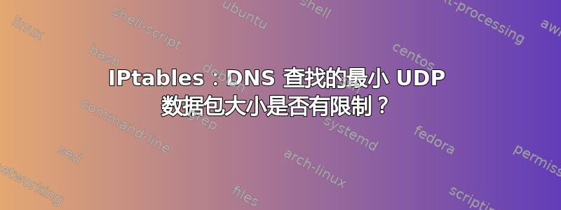 IPtables：DNS 查找的最小 UDP 数据包大小是否有限制？