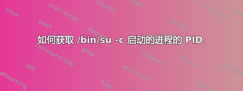 如何获取 /bin/su -c 启动的进程的 PID