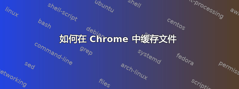 如何在 Chrome 中缓存文件