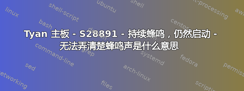 Tyan 主板 - S28891 - 持续蜂鸣，仍然启动 - 无法弄清楚蜂鸣声是什么意思 
