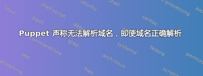 Puppet 声称无法解析域名，即使域名正确解析