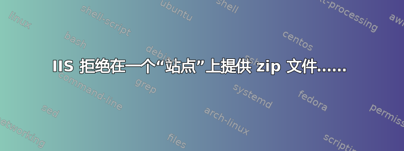 IIS 拒绝在一个“站点”上提供 zip 文件……