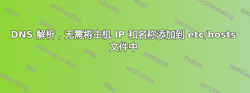 DNS 解析，无需将主机 IP 和名称添加到 etc/hosts 文件中