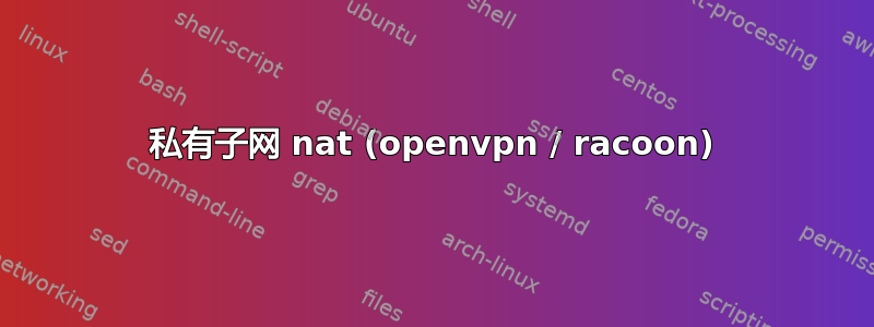 私有子网 nat (openvpn / racoon)