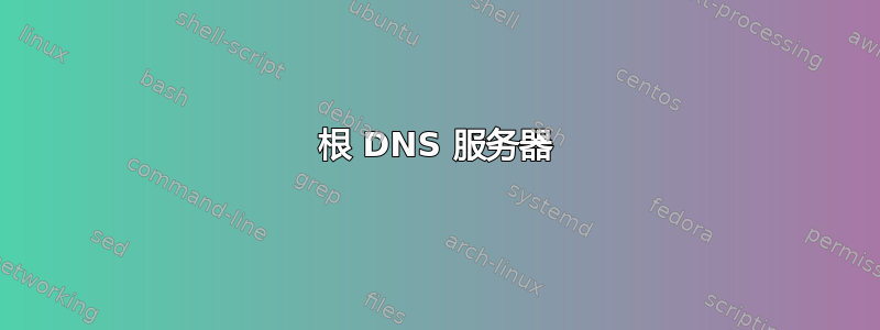 根 DNS 服务器