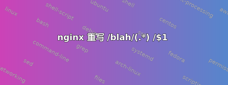 nginx 重写 /blah/(.*) /$1