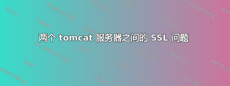 两个 tomcat 服务器之间的 SSL 问题