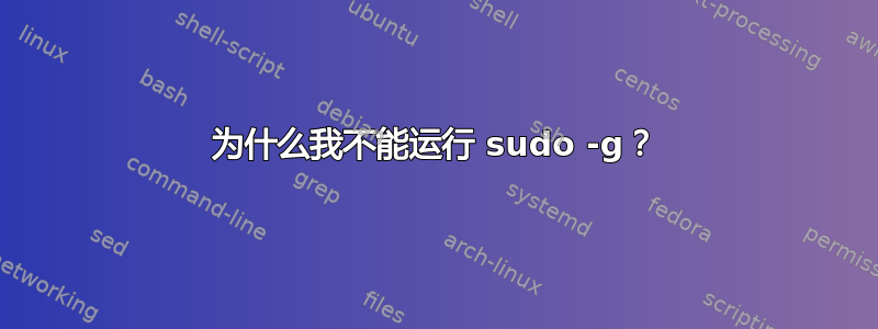 为什么我不能运行 sudo -g？