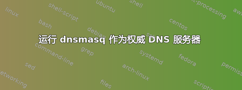 运行 dnsmasq 作为权威 DNS 服务器