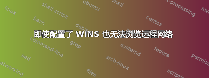 即使配置了 WINS 也无法浏览远程网络